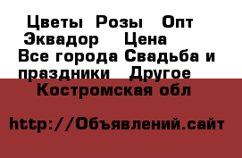 Цветы. Розы.  Опт.  Эквадор. › Цена ­ 50 - Все города Свадьба и праздники » Другое   . Костромская обл.